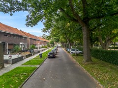 36 .jpg